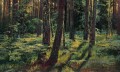 Farne im Wald siverskaya 1883 klassische Landschaft Ivan Ivanovich Bäume